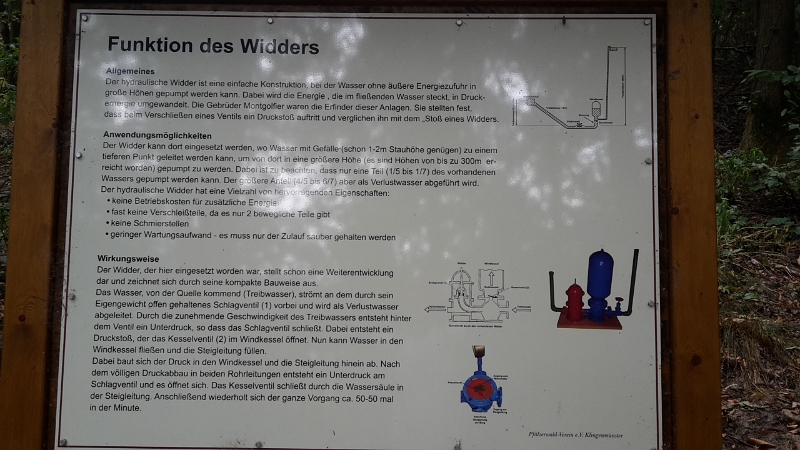 20160903_155124.jpg - Mittlerweile sind wir auf dem Heimweg. Wir wollen uns aber noch untzerhalb der Burg den "Widder" ansehen.