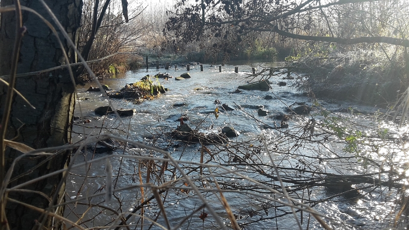 20161203_110530.jpg - Der Stellplatz liegt unmittelbar am renaturisierten Wiesbach.