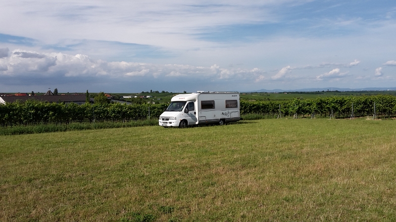 20160805_172155.jpg - Wir stellen uns einfach mal irgendwo hin!Die Wiese inmitten den Weinreben gefällt uns auf Anhieb.