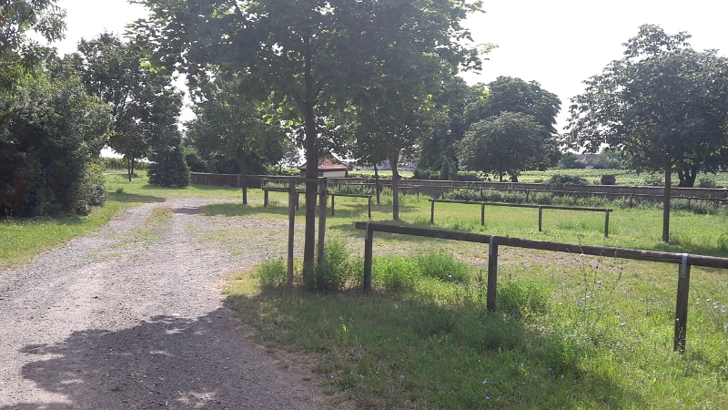 20160806_110537.jpg - Dieser Platz in Kallstadt wird auch als Übernachtungsplatz für Womos genutzt.