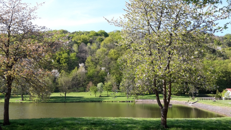 20160506_174600.jpg - Wir haben einen schönen Platz auf der Wiese gefunden, mit Blick auf den See.