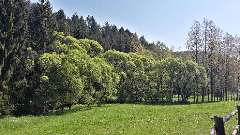 20160507_105712_Richtone(HDR).jpg - Wir starten nun zu einer Wanderung...