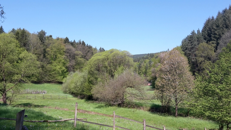 20160507_105717_Richtone(HDR).jpg - ...und laufen durch das wunderschöne Klingbachtal.