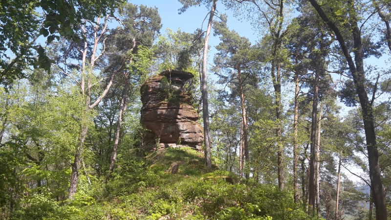 20160507_143623.jpg - Entlang des Bergrückens stehen viele solcher Sandsteinfelsen.