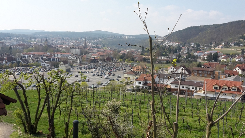 20160410_115846.jpg - Zunächst laufen wir wieder den Berg hoch! ...wie Anne mal wieder bemerkte! :-)