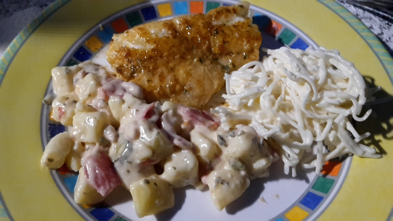 20160909_202444.jpg - Es ist schon dunkel als wir das Fischfilet mit Sellerie- und Kartoffelsalat essen.