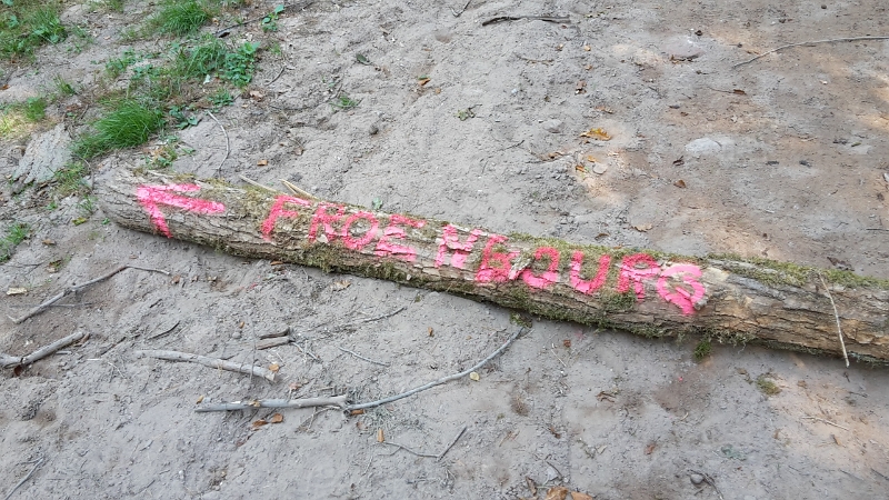 20160910_105716.jpg - Östlich der "Froenbourg" sind Holzfäller am Werk, darum gibt es eine Umleitung.