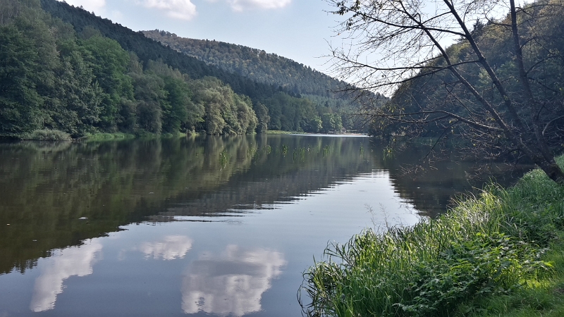 20160910_143917_Richtone(HDR).jpg - Mittlerweile haben wir wieder den "Etang De Fleckenstein" erreicht. Wie war das nochmal mit "schwimschwim"?!?