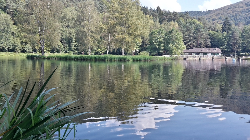 20160910_144503_Richtone(HDR).jpg - Nachdem wir am Dixi ankamen wurden sofort die Klamotten vom Leib geschmissen und die Badesachen angezogen...Keine 10 Minuten später waren wir auch schon im zugegeben recht kühlen See! Erfrischend und chillig war es sowieso... Hach wie schää...