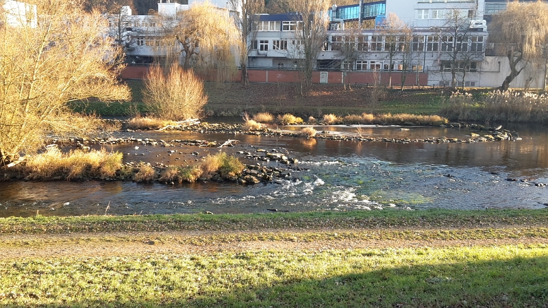 20161210_145911.jpg - Wir laufen zunächst entlang der Enz.