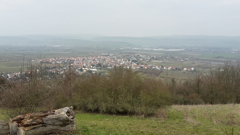 20160312_130216_Richtone(HDR).jpg - Nochmal ein Blick über Ockenheim.