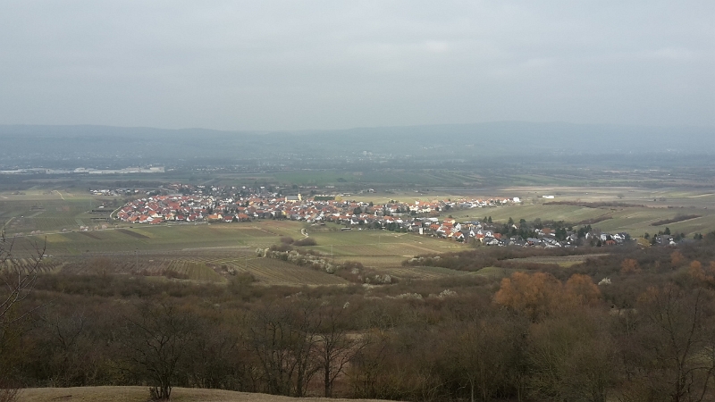 20160312_133708.jpg - Auch von hier ein herrlich Weitblick.