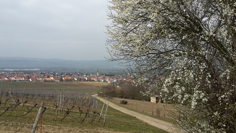 20160312_135252.jpg - ...wieder bergab!