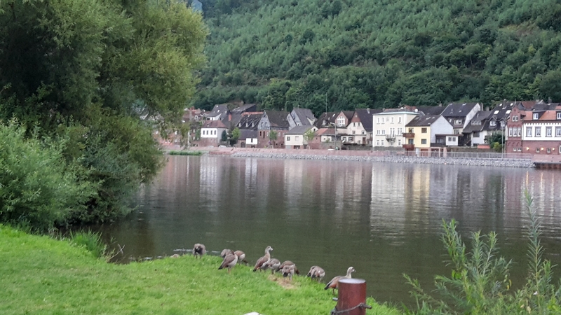 20160812_202642.jpg - Den restlichen Abend geniesen wir das schöne Wetter und sitzen vorm Dixi.