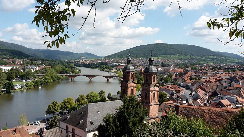 20160813_113840.jpg - Von hier oben haben wir einen schönen Blick über Miltenberg und den Main.