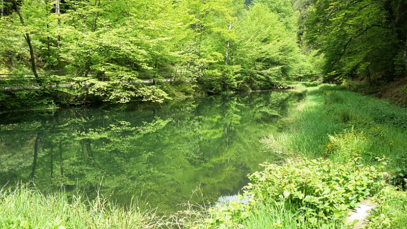 20160521_122016.jpg - ...vorbei an einem kleinen See.