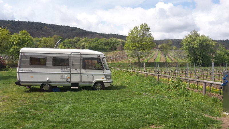 20160424_124151.jpg - In Meckenheim wurde es uns echt zu blöd und so sind wir auf den Stellplatz nach Bad Dürkheim gefahren. Wir wollen den restlichen Sonntag genießen und weiter relaxen...