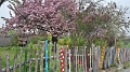 20160424_133350_Richtone(HDR)