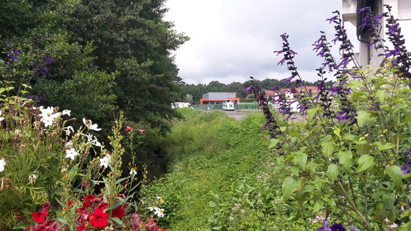 20160723_115519.jpg - Wir wollen uns nun den Ort anschauen.