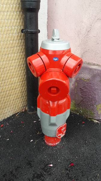 20160723_121331.jpg - Das einzig grimmige im Ort sind die Hydranten! :-)