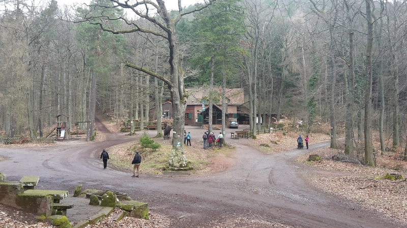 20160326_113336.jpg - Wir sind dann weiter zur Landauer Hütte gewandert...