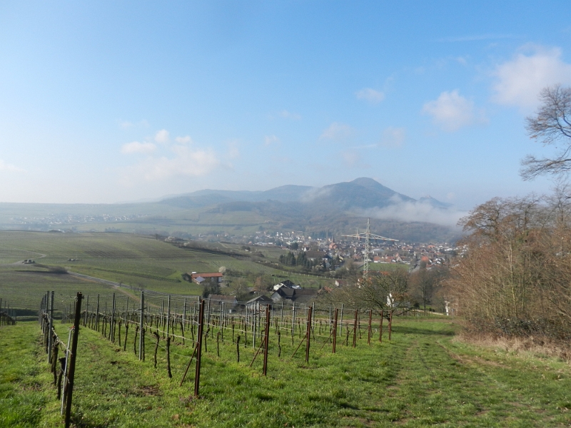 DSCN7527.JPG - ...zunächst immer den Berg rauf.Hier ein Blick über Albersweiler wo links am Ortsrand unser Dixi zu sehen ist.