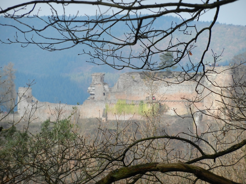 DSCN7539.JPG - Wir kraxeln stetig steil den Berg hinauf und entdecken dabei die Burgruine Neuscharfeneck.