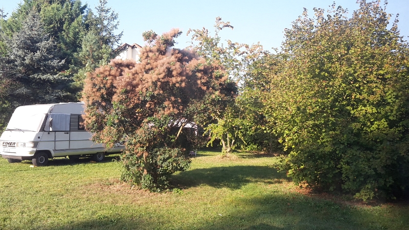 20160925_092722.jpg - Am nächsten Morgen/Mittag werden wir wach und es scheint sooooo schön die Sonne.