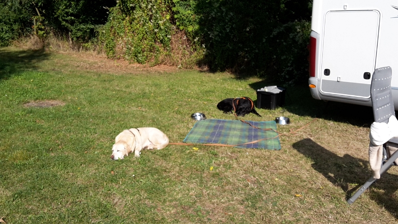 20160925_120159.jpg - Einige chillen in der Sonne und sind Hundemüde!