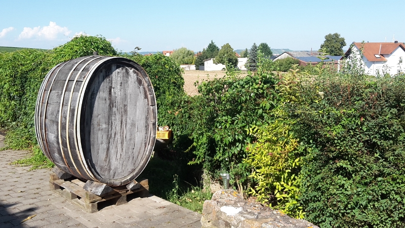 20160827_160856.jpg - Ich lauf derweil eine kleine Runde über das sehr schöne Weingut Sommer und mach ein paar Bilder.