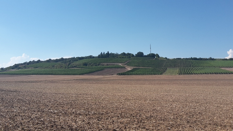 20160827_161616.jpg - Wenn es nicht sooo heiss wäre, würden wir bestimmt 'ne kleine Wanderung machen...