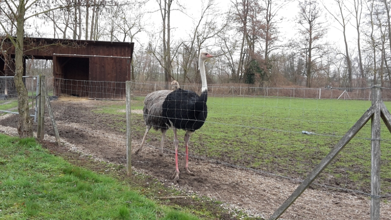 20160228_110911.jpg - Auch hier überall "Herr und Frau Strauß".Achja, Schwarz=Mann und Grau=Frau...