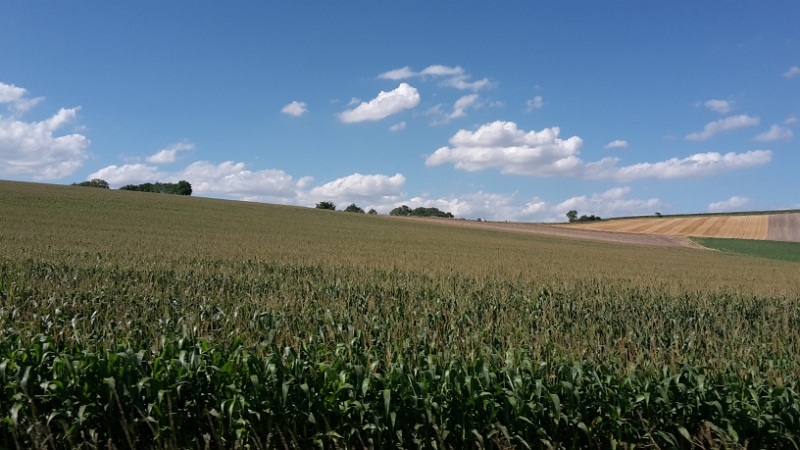 20160729_171425.jpg - Kilometer um Kilometer kämpfen wir uns durch... Rotschi, wir geben alles!!! ;-)