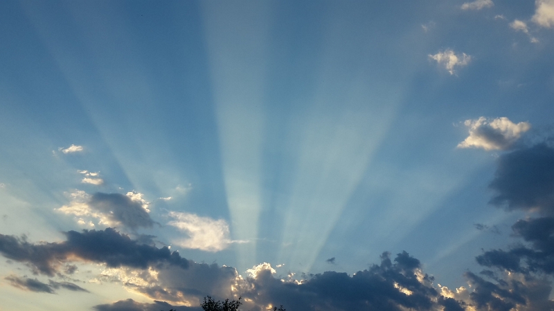 20160730_203811.jpg - Nachdem uns ein paar Plätze nicht gefallen haben, sind wir letztendlich auf dem Stellplatz am Ecomusee d'Alsace bei Ungersheim gelandet.