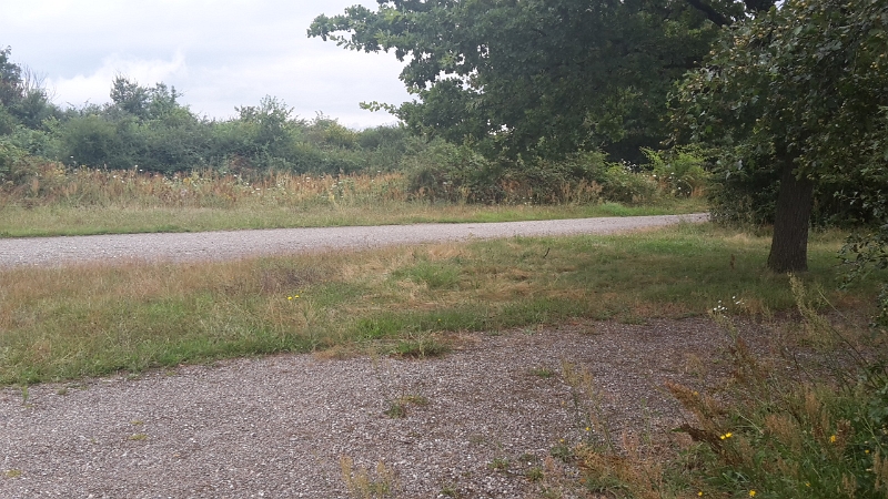 20160731_090824.jpg - Impressionen vom Stellplatz am nächsten morgen.Den Platz haben Biene und ich schon 2012 besucht.