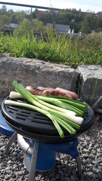 20160430_170733.jpg - Ganz spontan hab ich Bock irgendwas auf den Grill zu werfen. Kühlschrank auf... Aha... Bratwürste und Frühlingszwiebeln liegen oben... Zack auf den Grill, das ganze auf ein Brötchen mit Ketchup und Senf, FERTIG!