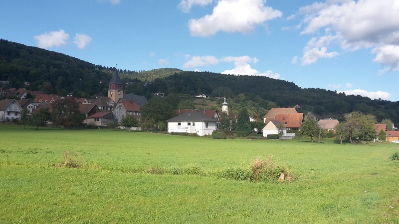 20161002_155225.jpg - Immer tiefer fahre ich ins Munstertal hinein.