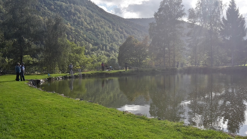 20161002_161346_Richtone(HDR).jpg - Auf dem Heimweg komme ich an einem Angelsee vorbei, hier gibt es gegrillte Forellen! Das riecht ja soooo lecker... Schnell weiter! ;-)