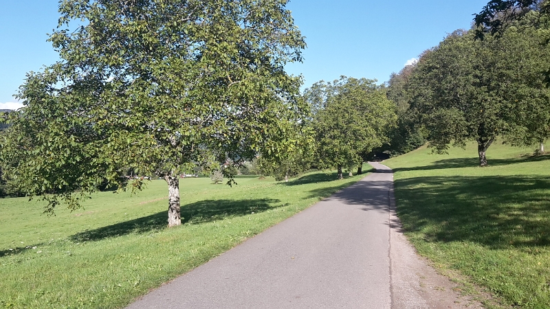 20161002_162635_Richtone(HDR).jpg - Das Radwegenetz ist sehr gut ausgebaut und beschildert.