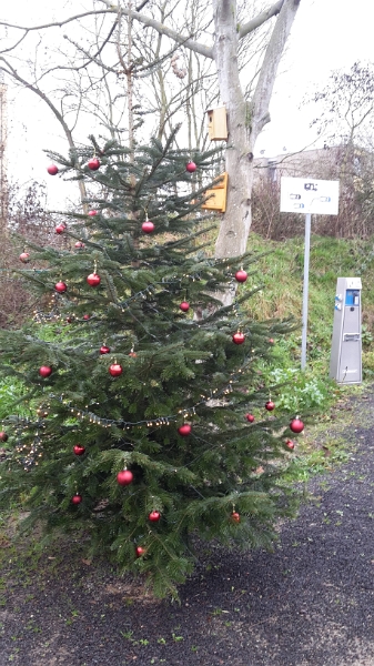 20151231_145226.jpg - Hier hat es auch geweihnachtet!