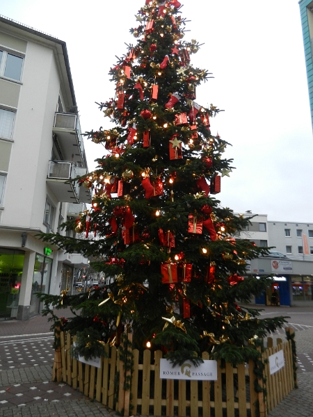 DSCN6697.JPG - Ein schöner Baum vor der Römerpassage...