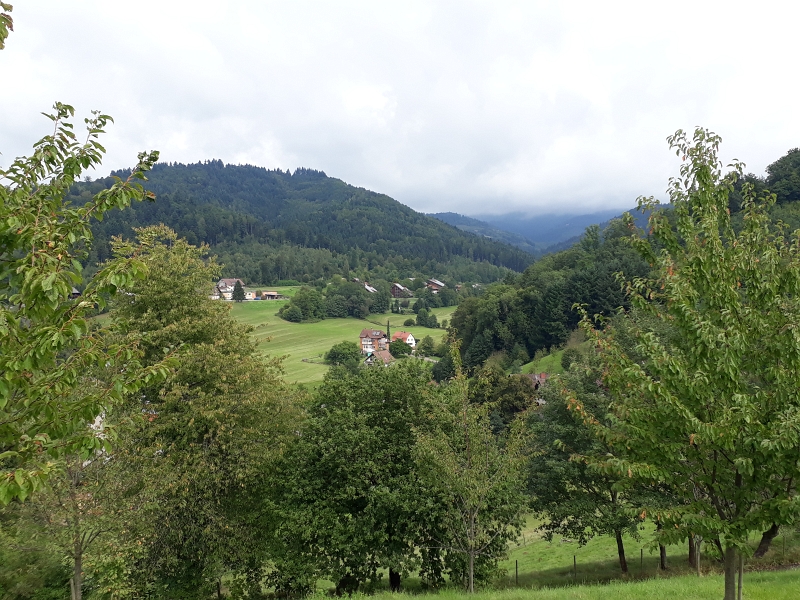 20170902_133958.jpg - Sieht aus wie im Schwarzwald!? Ach, da sind wir ja!