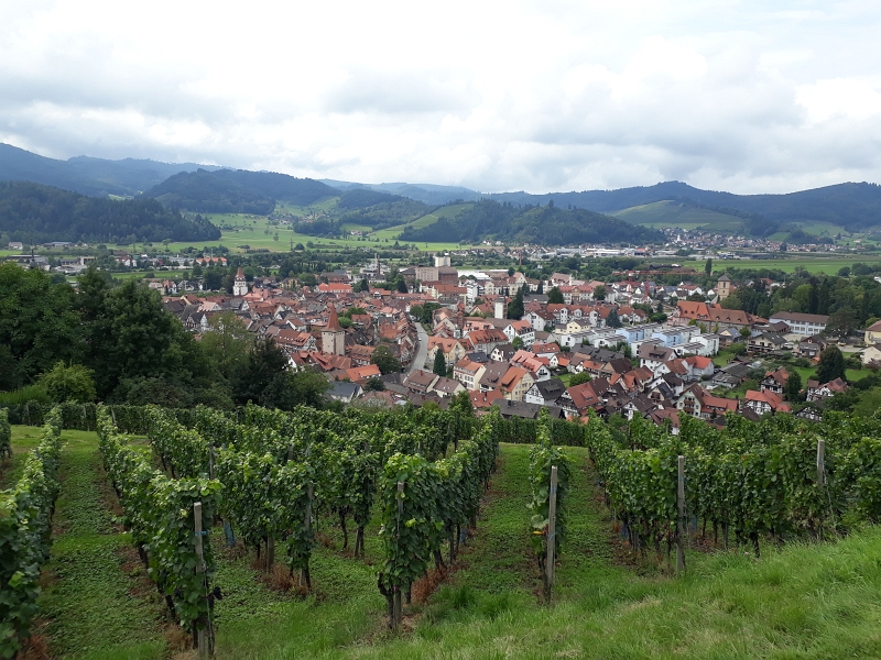 20170902_134320.jpg - ...werden wir dafür mit einem grandiosen Blick über die Stadt belohnt.