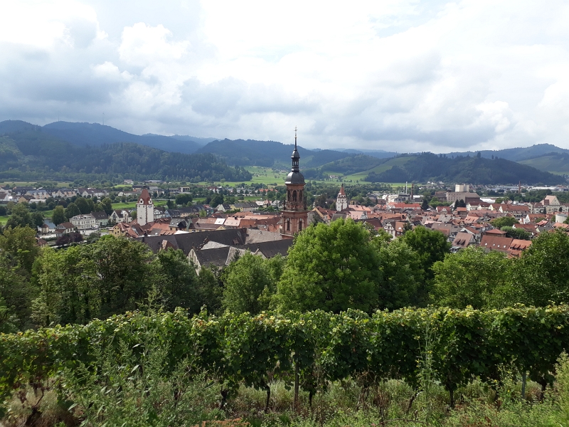 20170902_140843.jpg - ...haben wir erneut einen schönen Blick über die Stadt.