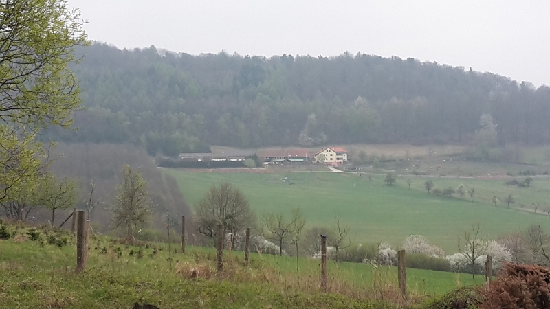 20170408_124443.jpg - Nachdem wir runter in den Ort gelaufen sind, geht es nun permanent wieder den Berg rauf.Von hier sieht man den Hof Schabernack.