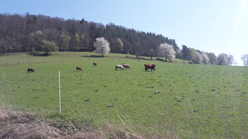 20170409_134512.jpg - Leider müssen wir uns nun wieder verabschieden und auf den Heimweg machen. Die Arbeit ruft morgen leider wieder!