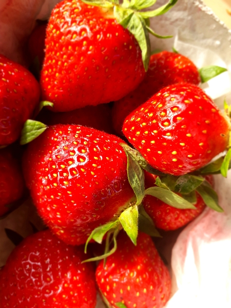 20180601_185022.jpg - Frische Erdbeeren zum Dessert.