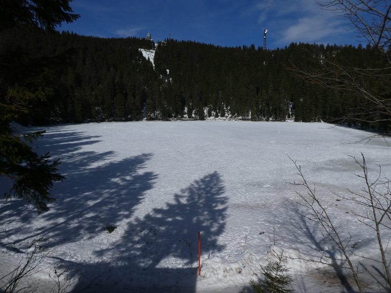 P1090060.JPG - Der Mummelsee ist unter Eis und Schnee versteckt.