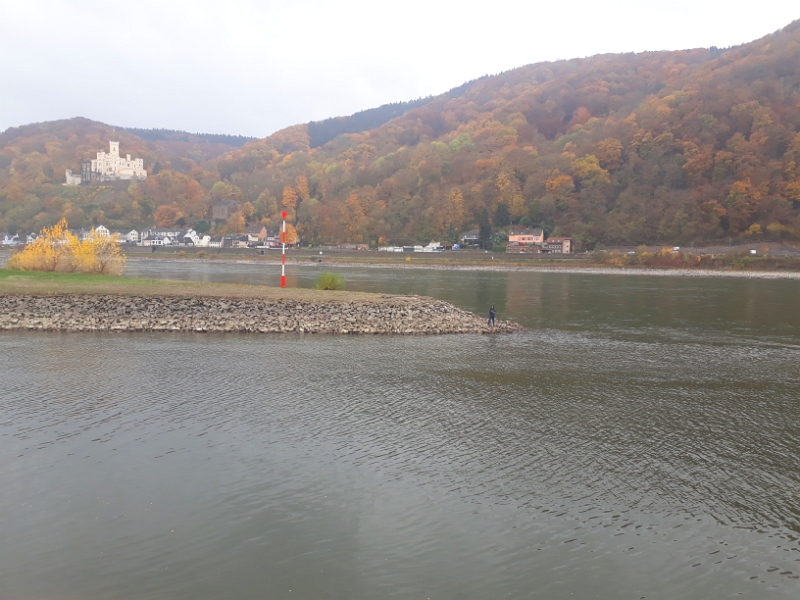 20181110_140129.jpg - Hier mündet die Lahn in den Rhein.