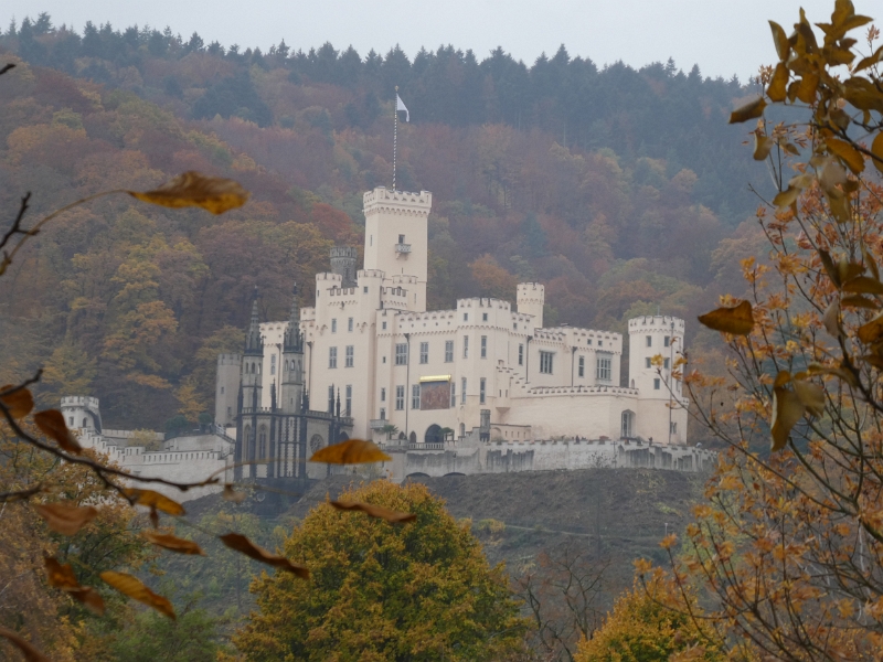 P1040046.JPG - Aus unserem Fenster schauen wir auf Schloss Stolzenfels.